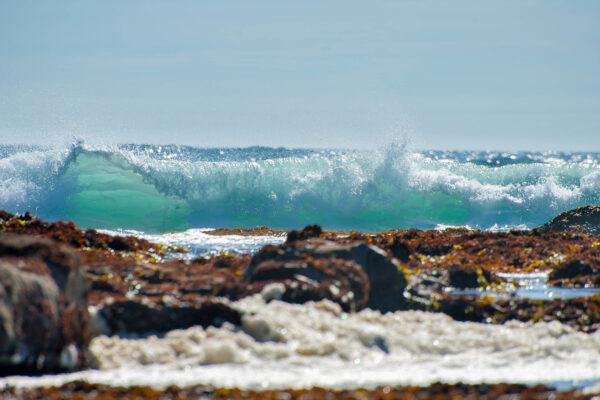 Moss Beach